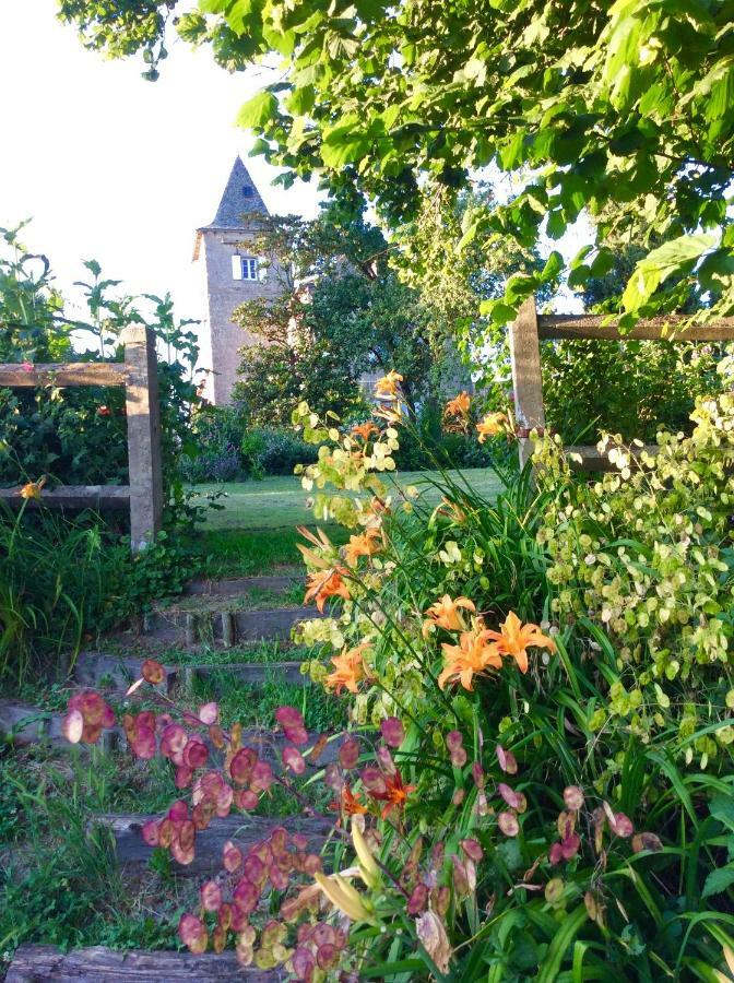 Domaine De Marsaguettes Villa Morlhon-le-Haut ภายนอก รูปภาพ